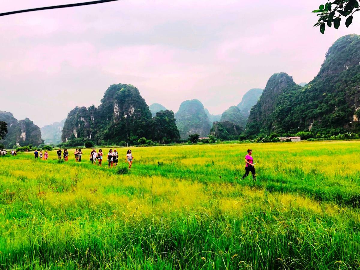 Ninh Binh Greenland Homestay מראה חיצוני תמונה